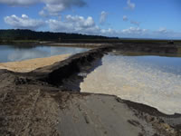 Restoring an Estuary